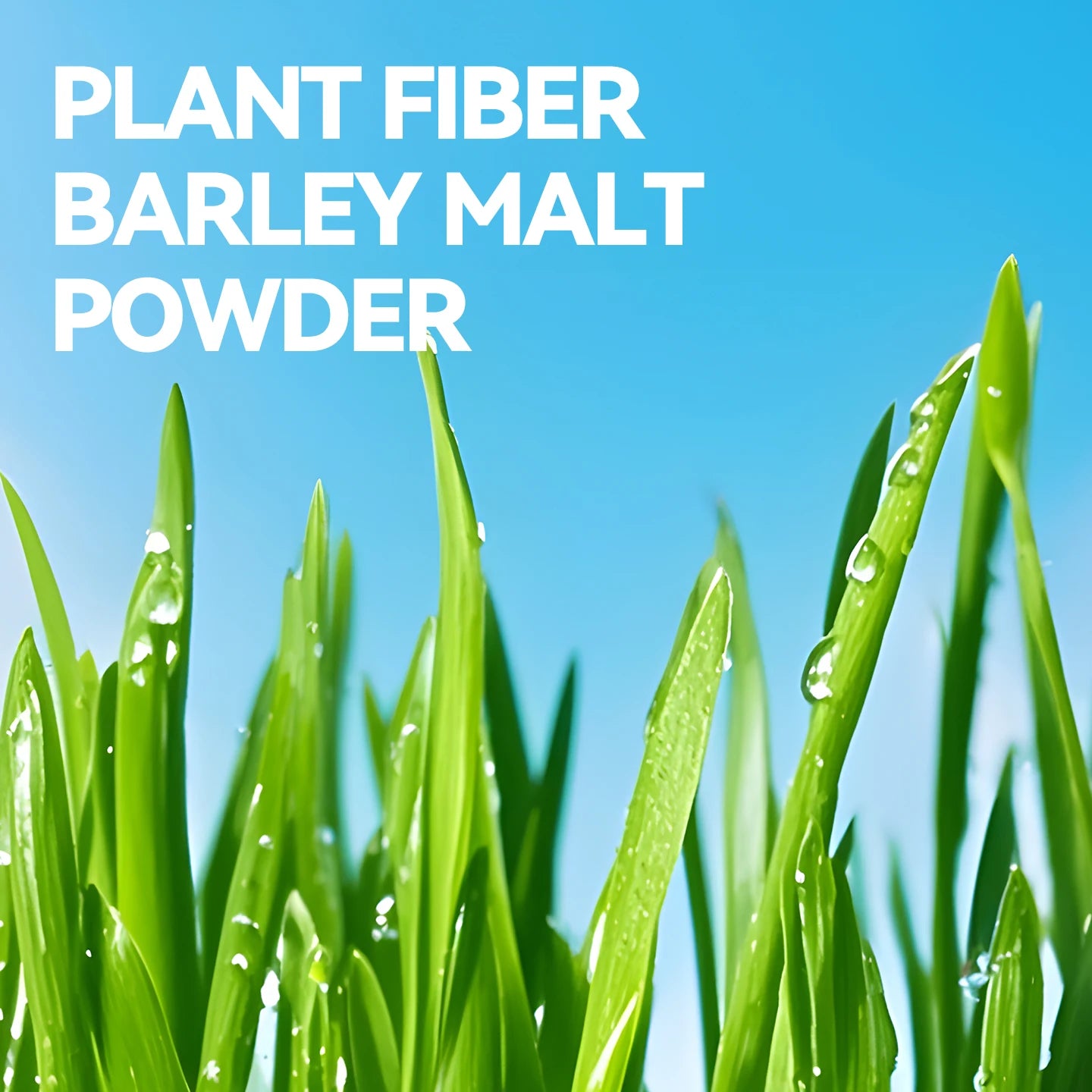 chanbuni Cat Food Cat Nutrition Food for Cats Cat Treats Treats for Cats Pet Cats Hair Cream for Cats Oil Container Free Shippin