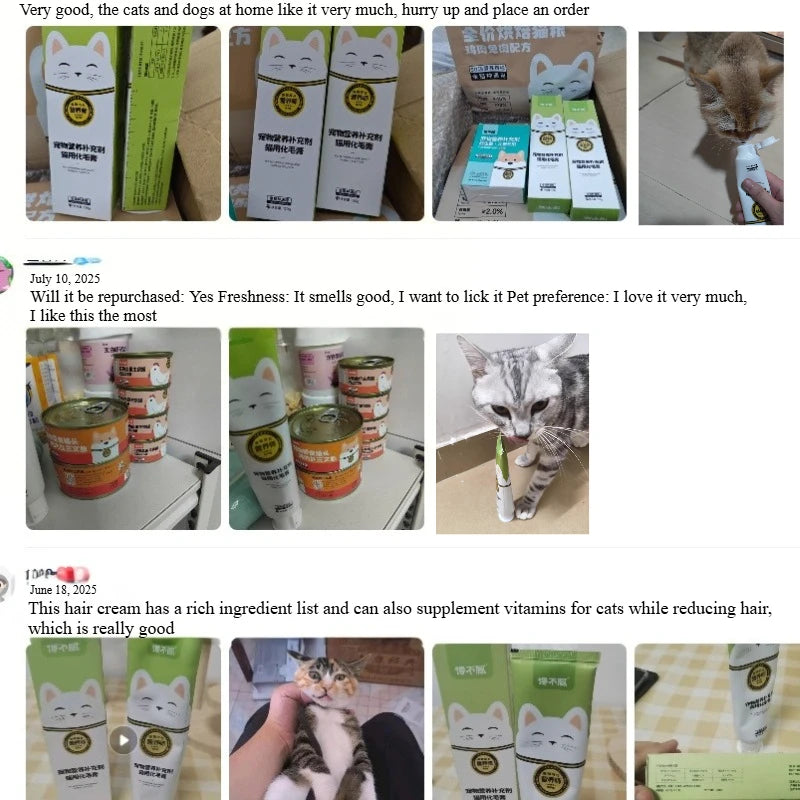 chanbuni Cat Food Cat Nutrition Food for Cats Cat Treats Treats for Cats Pet Cats Hair Cream for Cats Oil Container Free Shippin