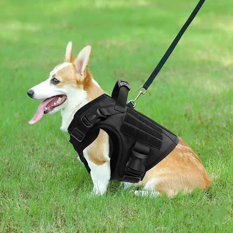 Heavy Tactical Dog Harness Suitable For Large Dogs Adjustable Pet Harness Service Easy To Control Training Black Dog Collar Set