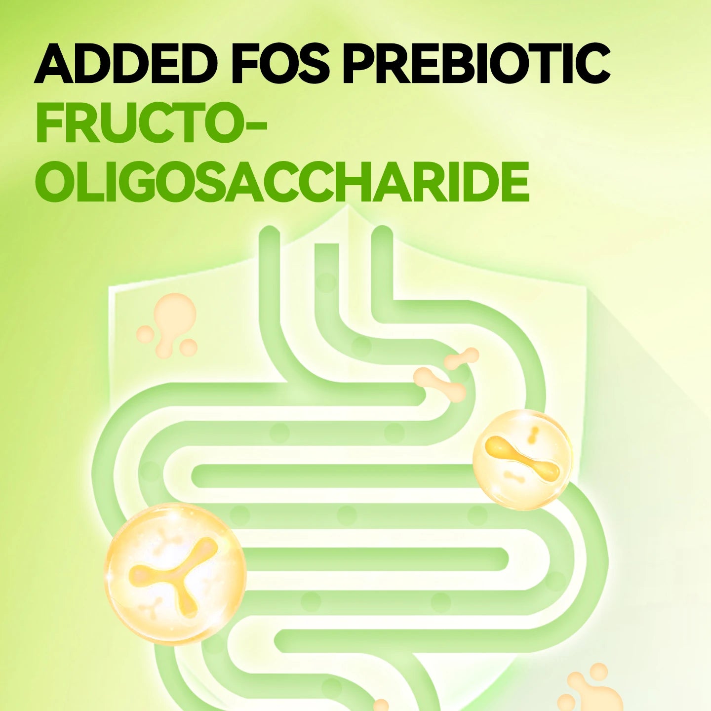 chanbuni Cat Food Cat Nutrition Food for Cats Cat Treats Treats for Cats Pet Cats Hair Cream for Cats Oil Container Free Shippin