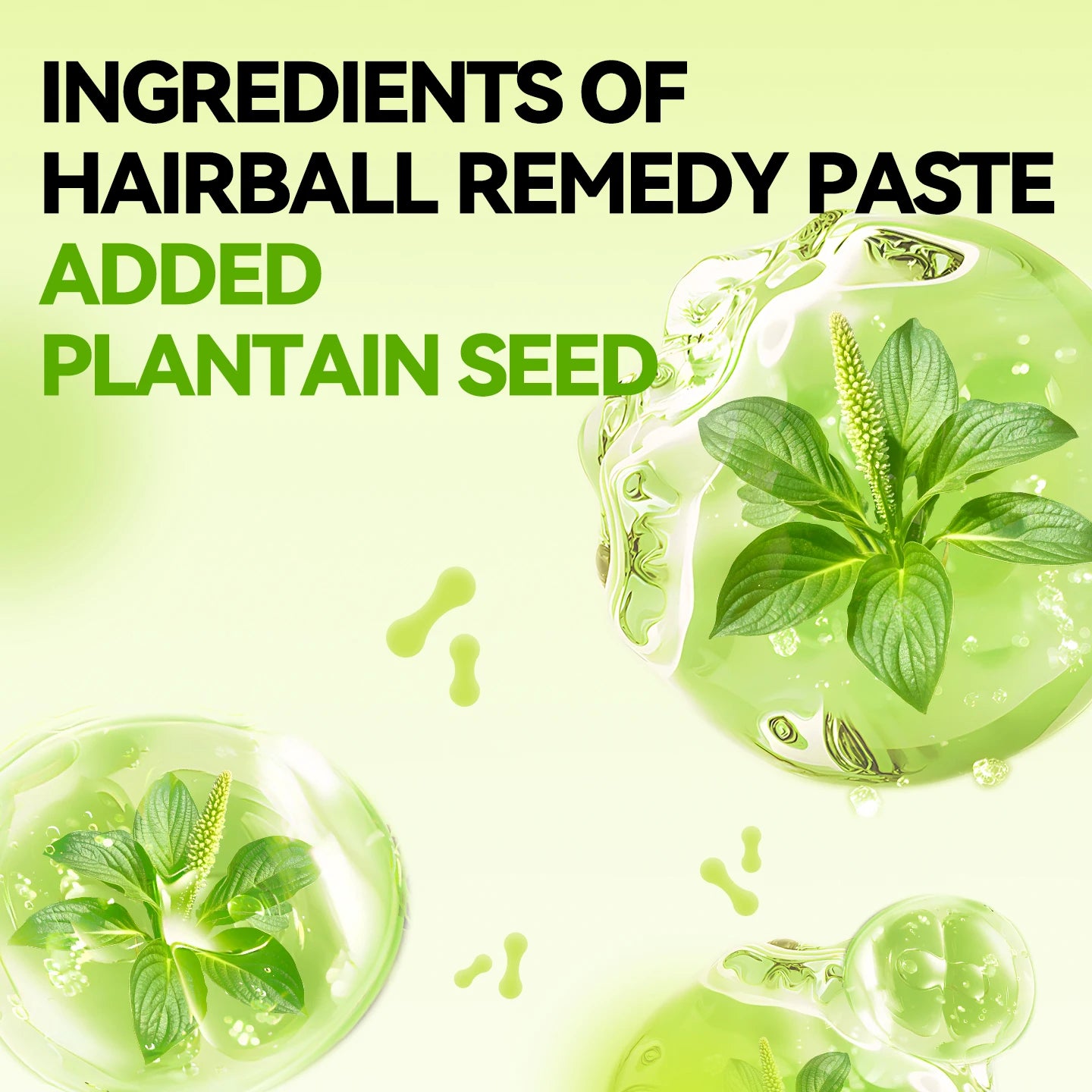 chanbuni Cat Food Cat Nutrition Food for Cats Cat Treats Treats for Cats Pet Cats Hair Cream for Cats Oil Container Free Shippin