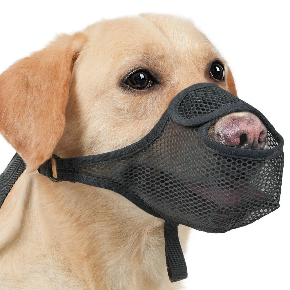 Breathable Mesh Dog Muzzle Anti-Bite Adjustable Strap Dog Mouth Cover Scavenging Prevention Long Mouth Pet Mouth Mask Small Dogs