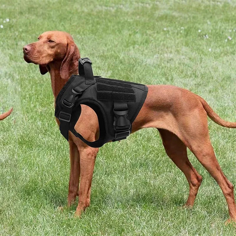 Heavy Tactical Dog Harness Suitable For Large Dogs Adjustable Pet Harness Service Easy To Control Training Black Dog Collar Set