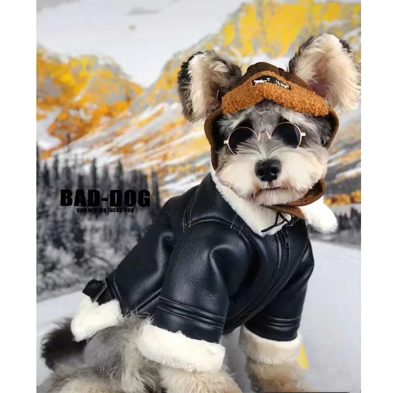 Winter Pet Clothes: Pu Jacket Eagle Leather Coat With Fleece Lining, Warm Pet Apparel For Dogs And Cats, Cold-weather Outdoor